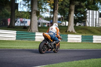Advanced Group Orange Bikes